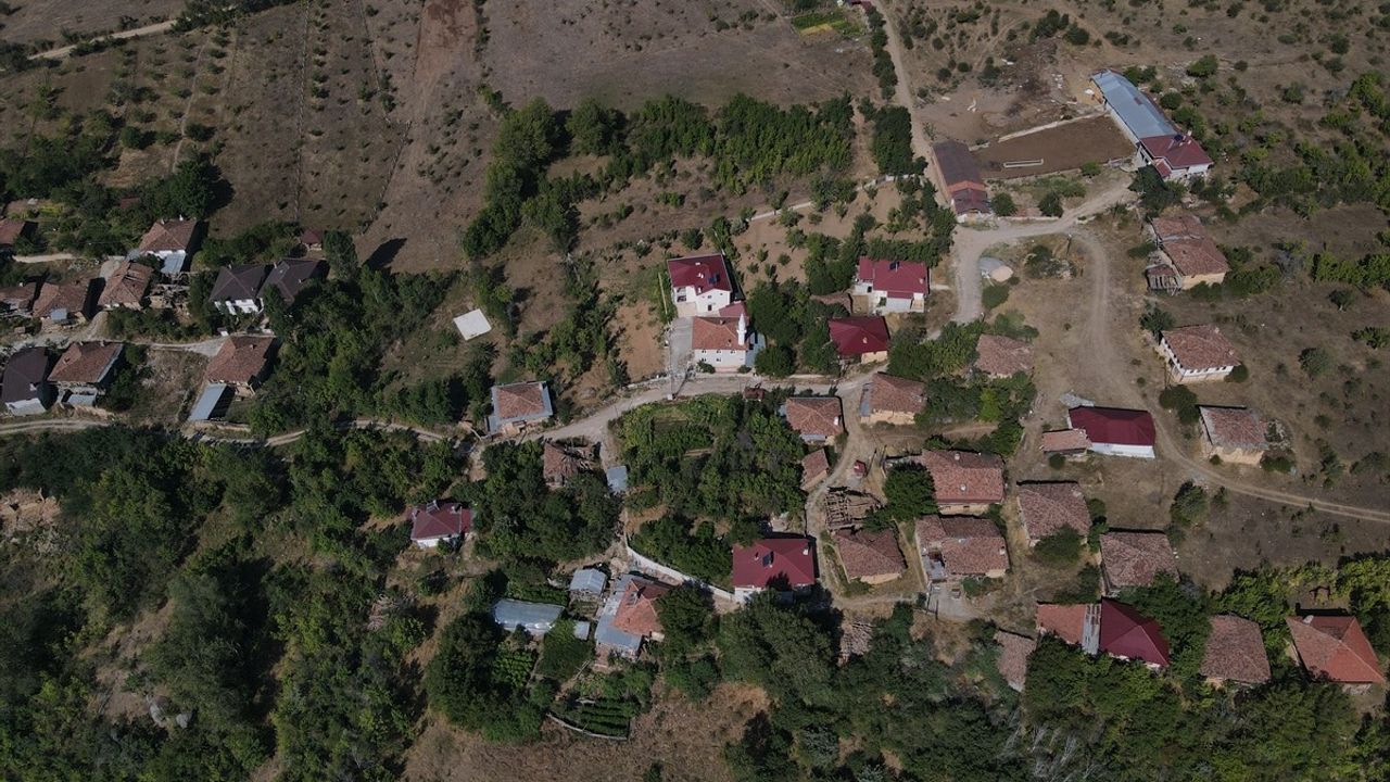 Çankırı'da Orman Yangını Kontrol Altında, Tahliye İşlemleri Başarıyla Tamamlandı