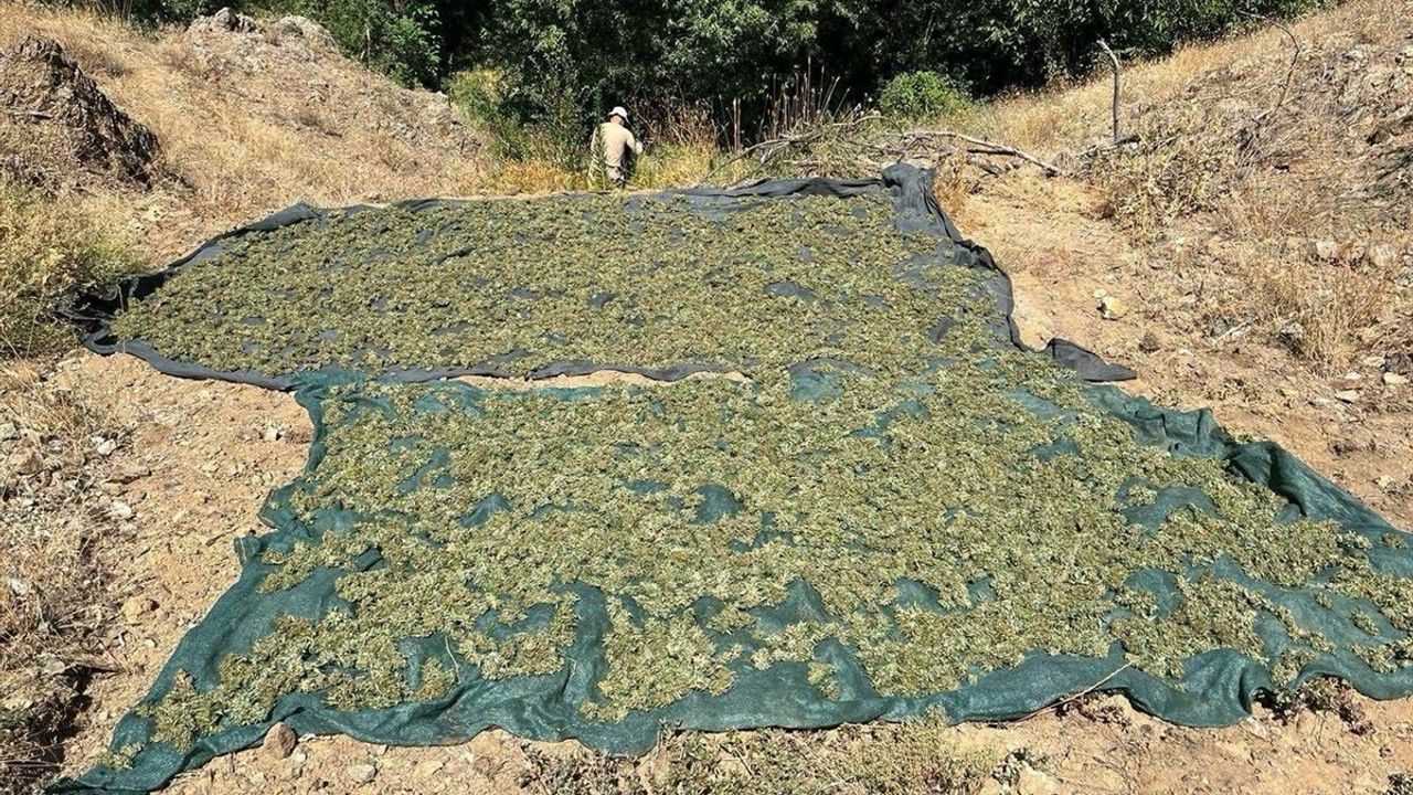 Diyarbakır'da Uyuşturucu Operasyonu: 2.3 Milyon Kök Kenevir ve 180 Kg Esrar Ele Geçirildi