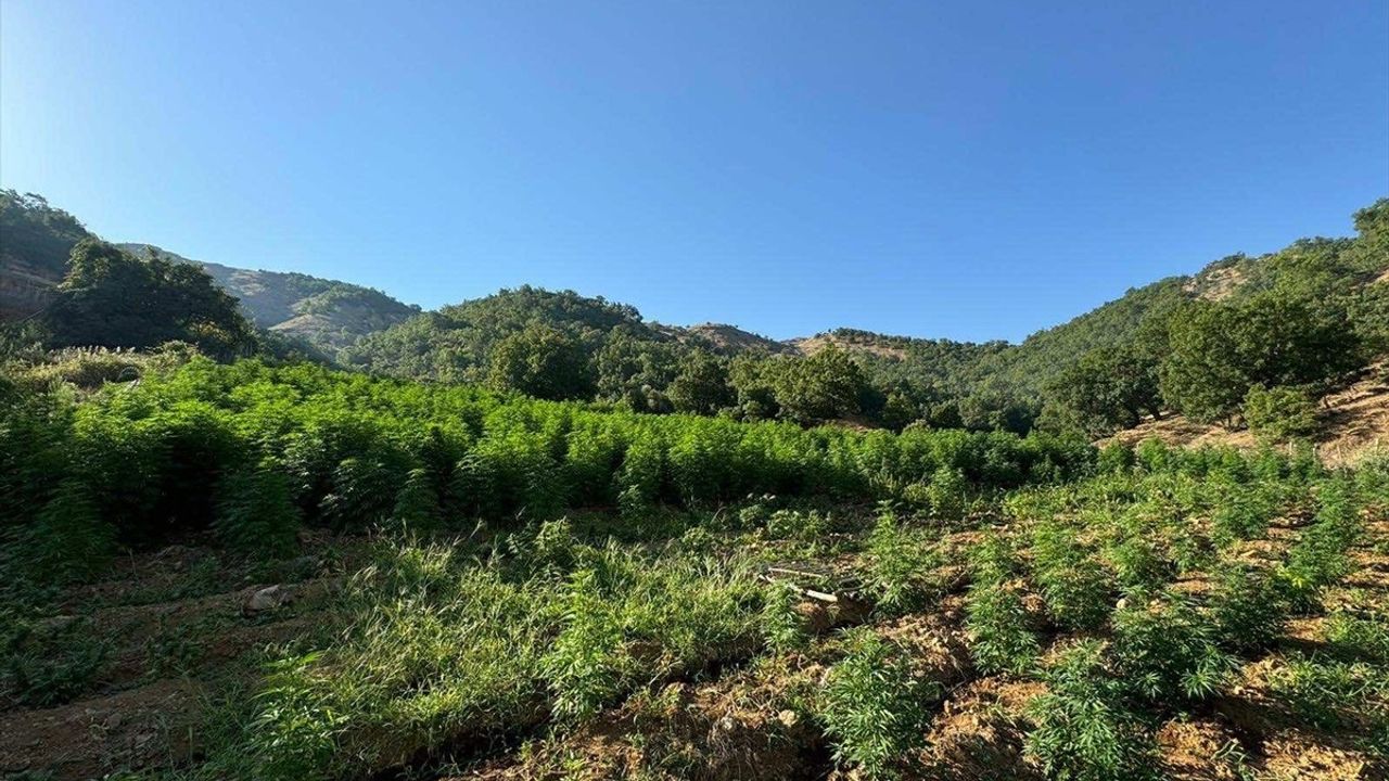 Diyarbakır'da Uyuşturucu Operasyonu: Rekor Ele Geçirilen Kenevir ve Esrar