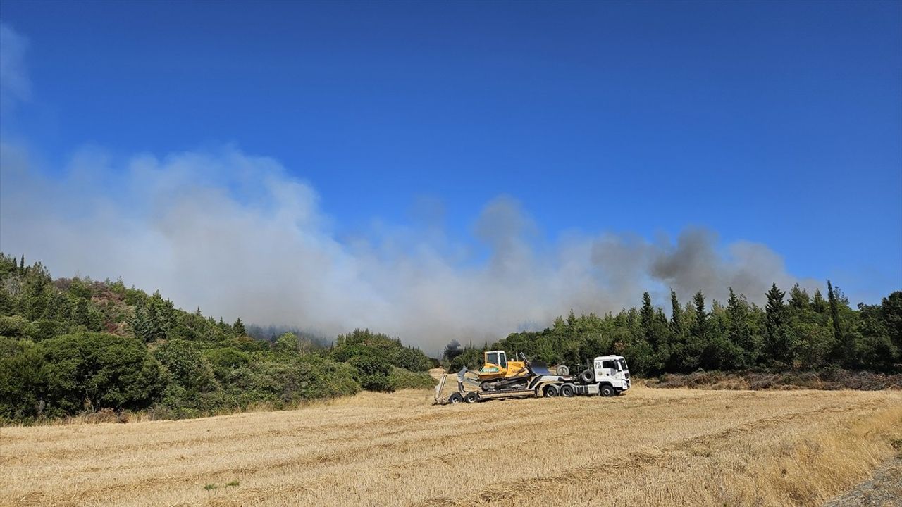Eceabat'ta Orman Yangınına Müdahale Başladı