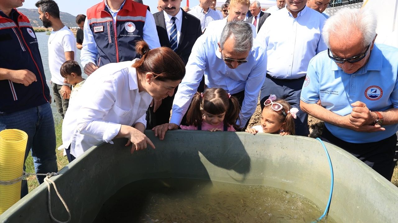 Edirne'de 10 Milyon Yavru Sazan Balığı Su Kaynaklarına Bırakıldı