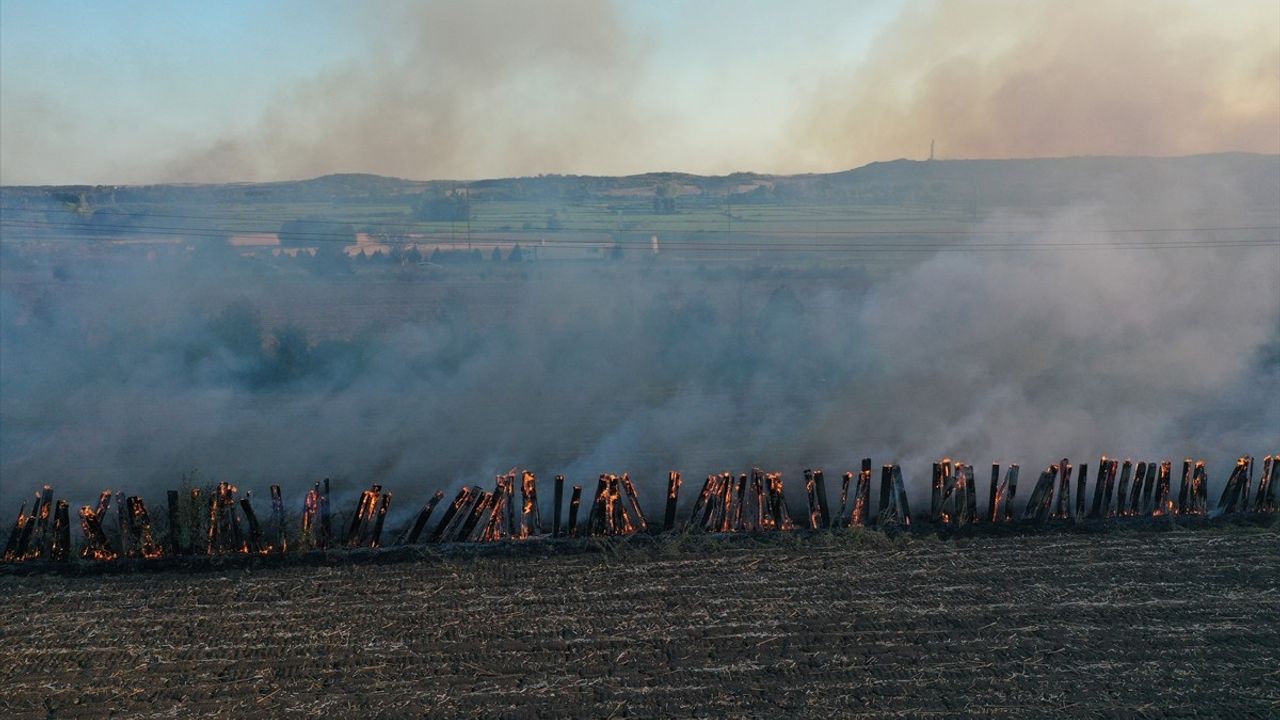 Edirne'de Anız Yangını Kontrol Altına Alındı