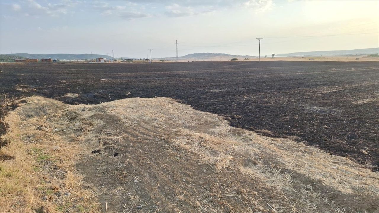 Edirne'deki Orman Yangını Kontrol Altına Alındı