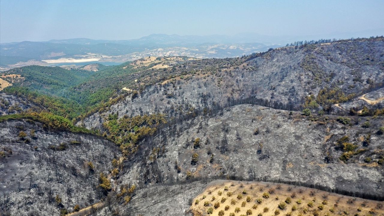Ege Bölgesi'nde Orman Yangınları Yeşil Alanları Gri Renge Dönüştürdü