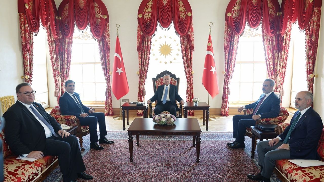 Erdoğan, Karadağ Başbakan Yardımcısı İbrahimovic'i Ağırladı