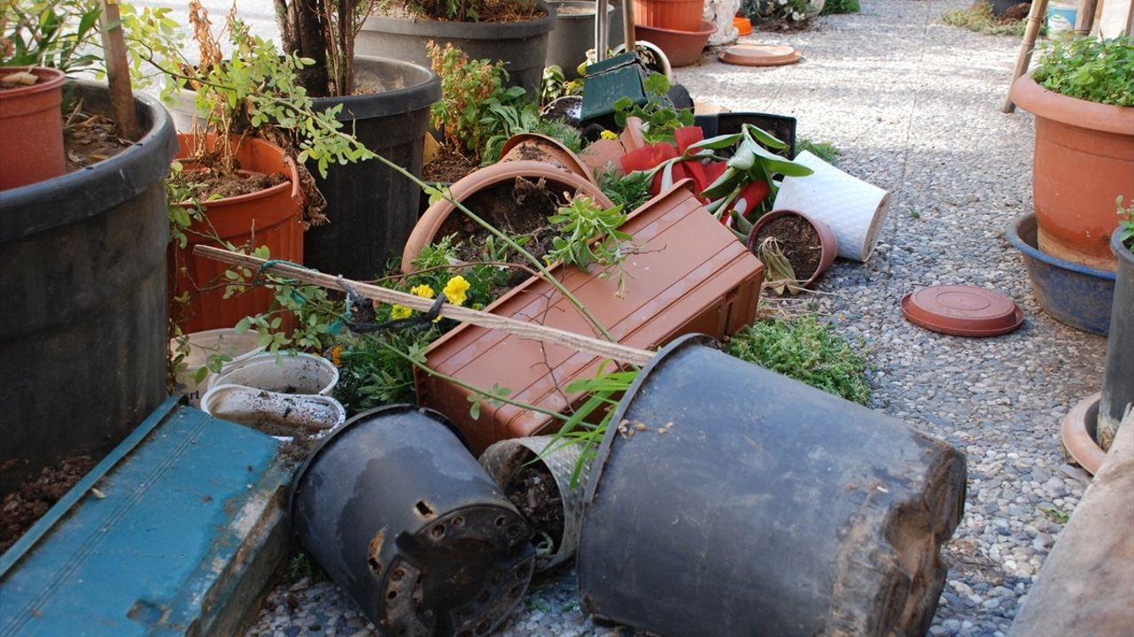 Eskişehir'de Emekli Esnafın Eşine Olan Sevgisi Tahrip Edildi
