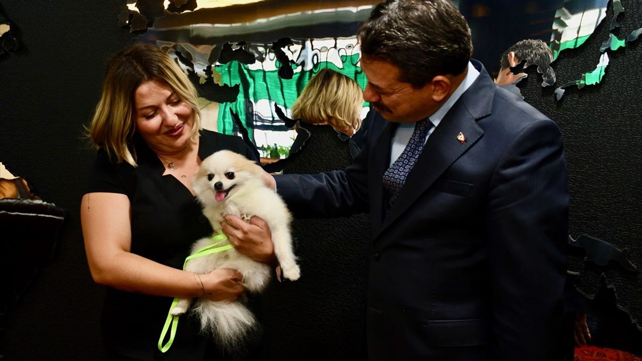 Eskişehir'de Köpeğine Kötü Muamele Eden Şahıs Adliyeye Sevk Edildi