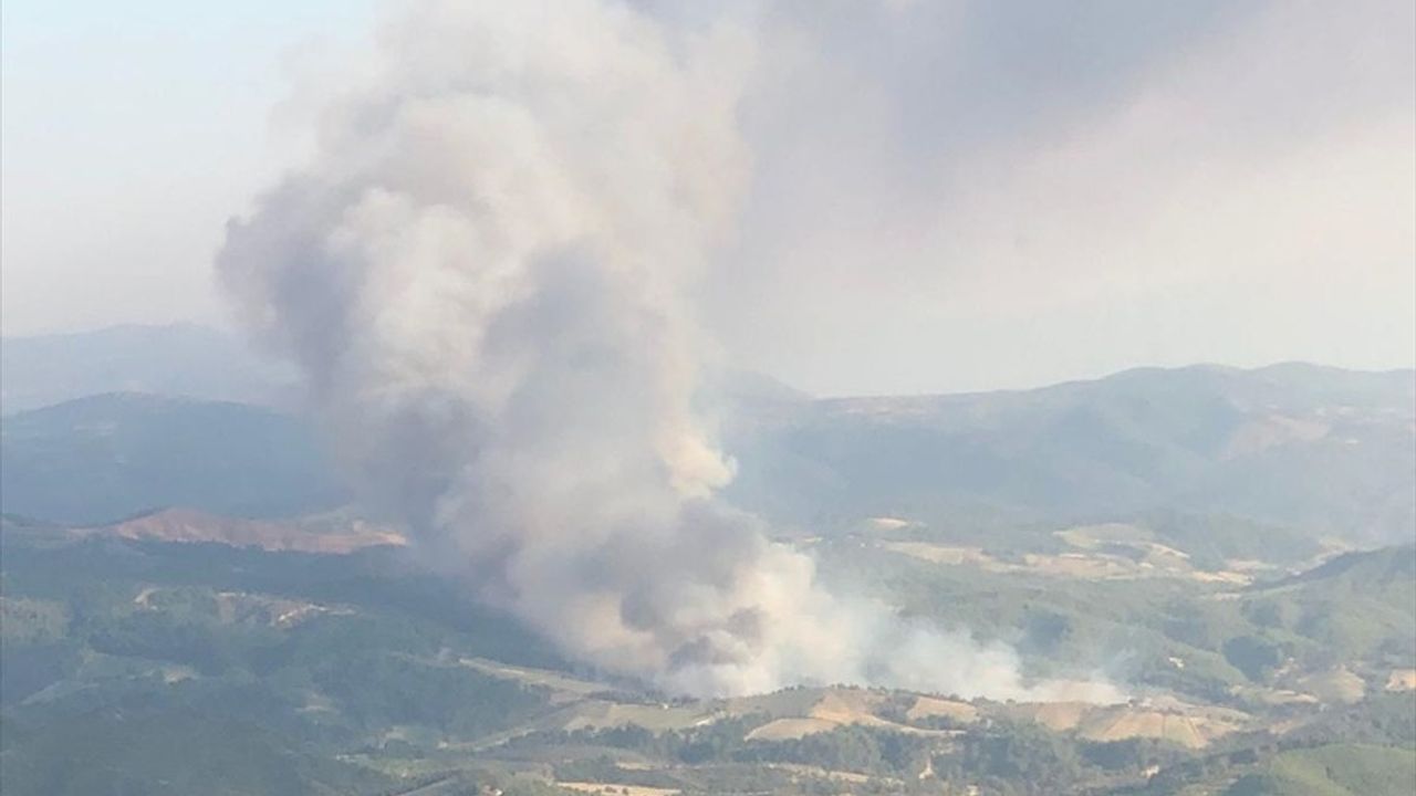 Gördes'te İki Ayrı Orman Yangınına Müdahale Ediliyor