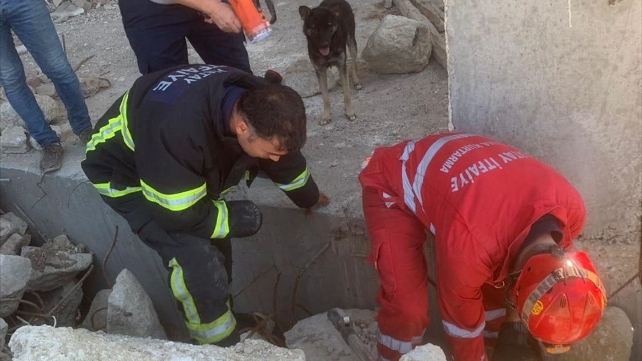 Hatay'da Deprem Yıkıntısında Mahsur Kalan 5 Köpek Yavrusu Kurtarıldı