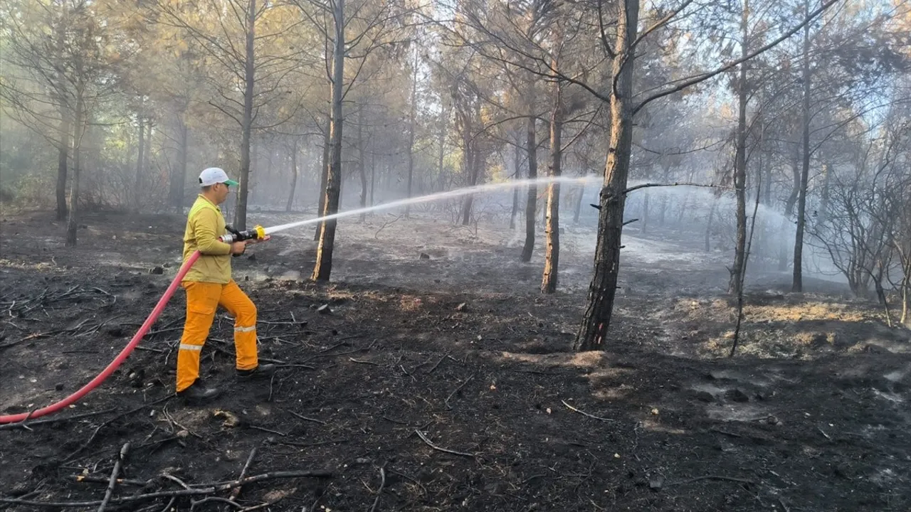 Hatay'da Orman Yangını Kontrol Altına Alındı
