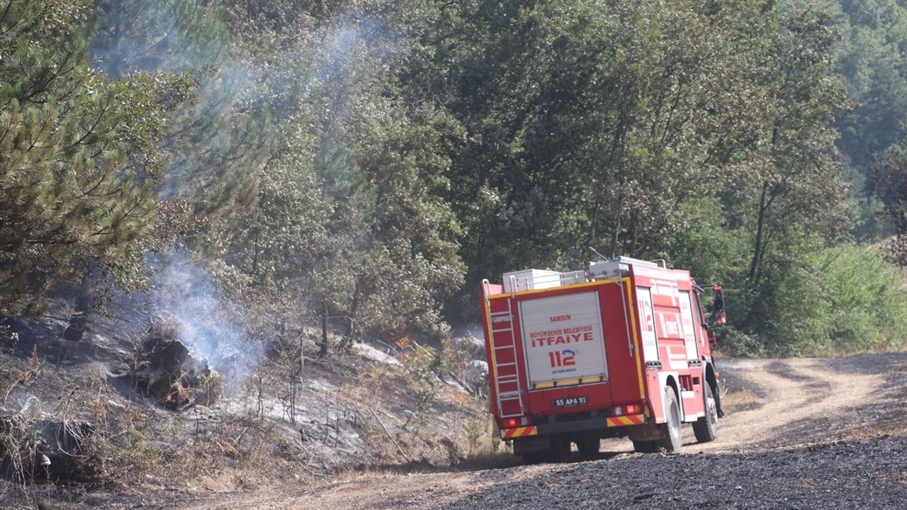 Havza'da Anız Yangını: 150 Dekar Alan Zarar Gördü