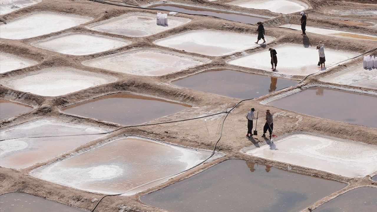 Irak'taki Tuz İşçilerinin Zorlu Sıcak Çalışma Şartları