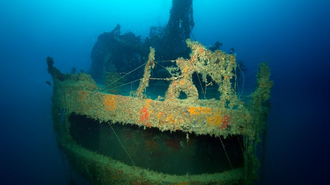 İskenderun Körfezi'nde 20 Yıl Sonra Ulla Gemisi Görüntülendi