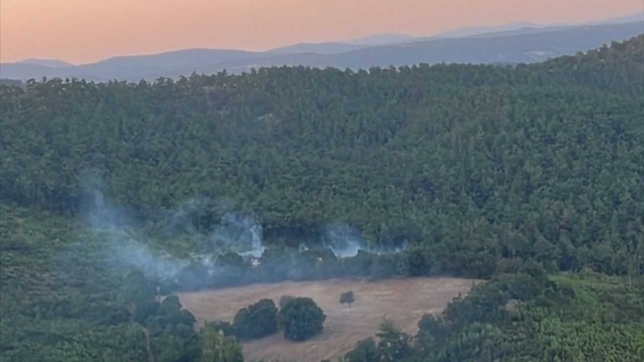 İvrindi'deki Orman Yangını Kontrol Altına Alındı
