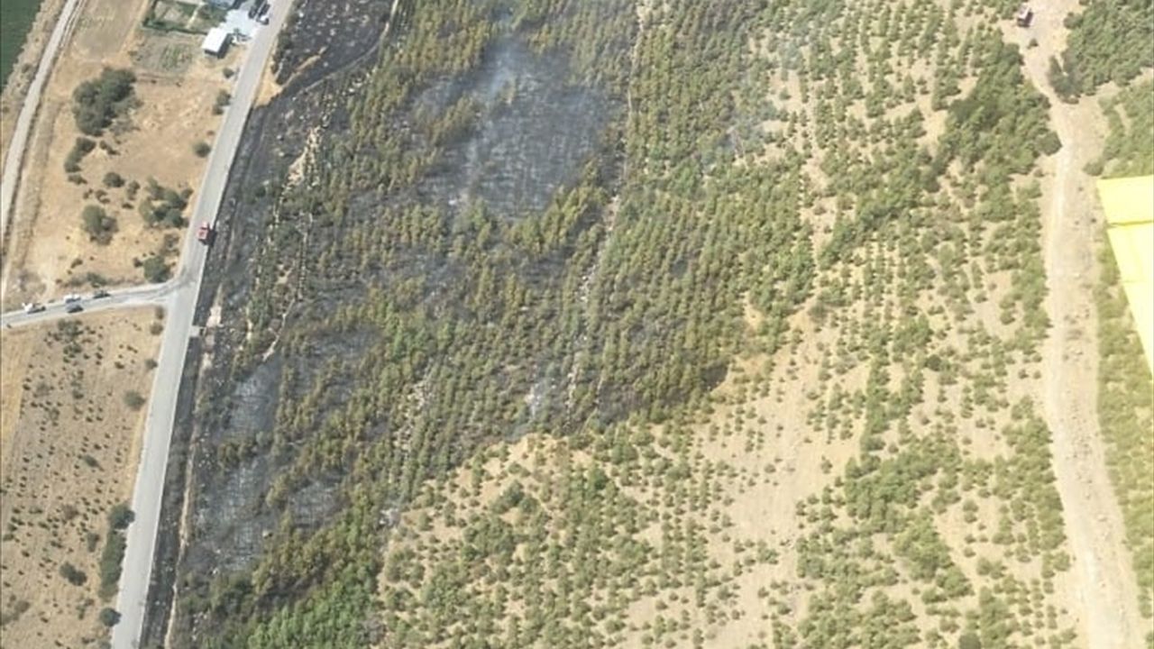 İzmir Bergama'daki Orman Yangını Kontrol Altına Alındı