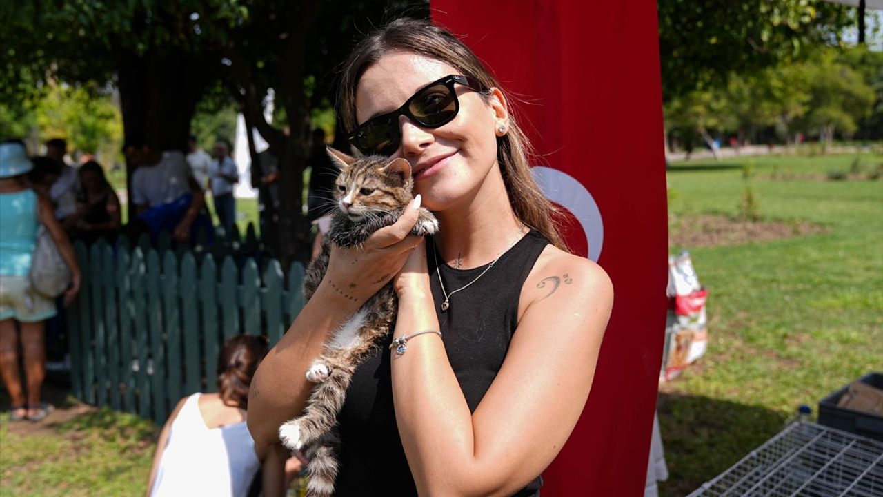 İzmir'de Yangın Mağduru Sokak Hayvanları İçin 'Patili Perşembe' Etkinliği