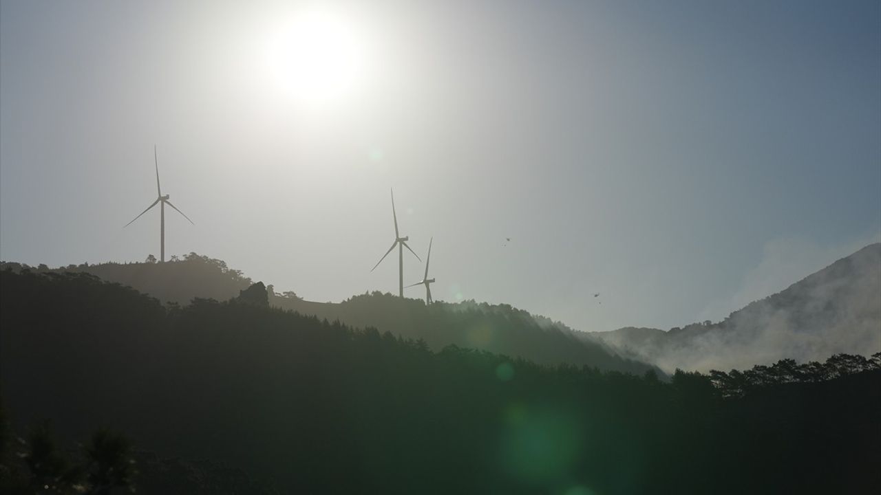 İzmir'deki Orman Yangınına Hızla Havadan Müdahale Yeniden Başladı
