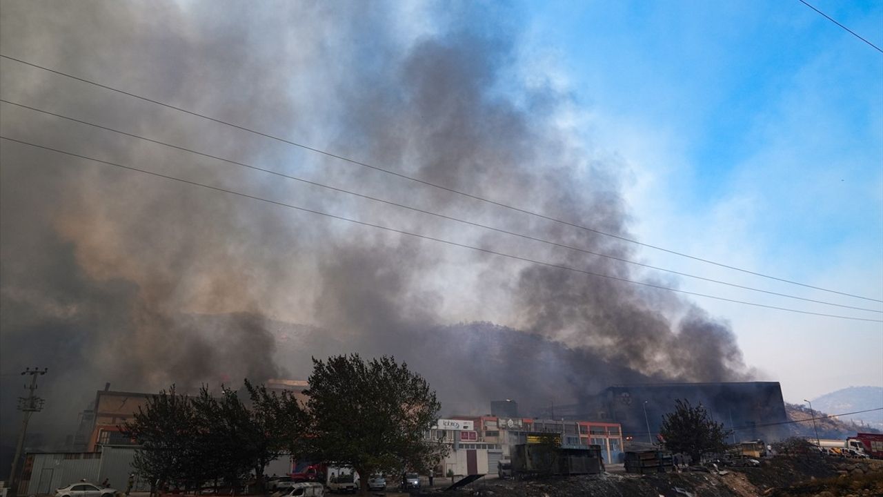 İzmir Karşıyaka'daki Orman Yangını