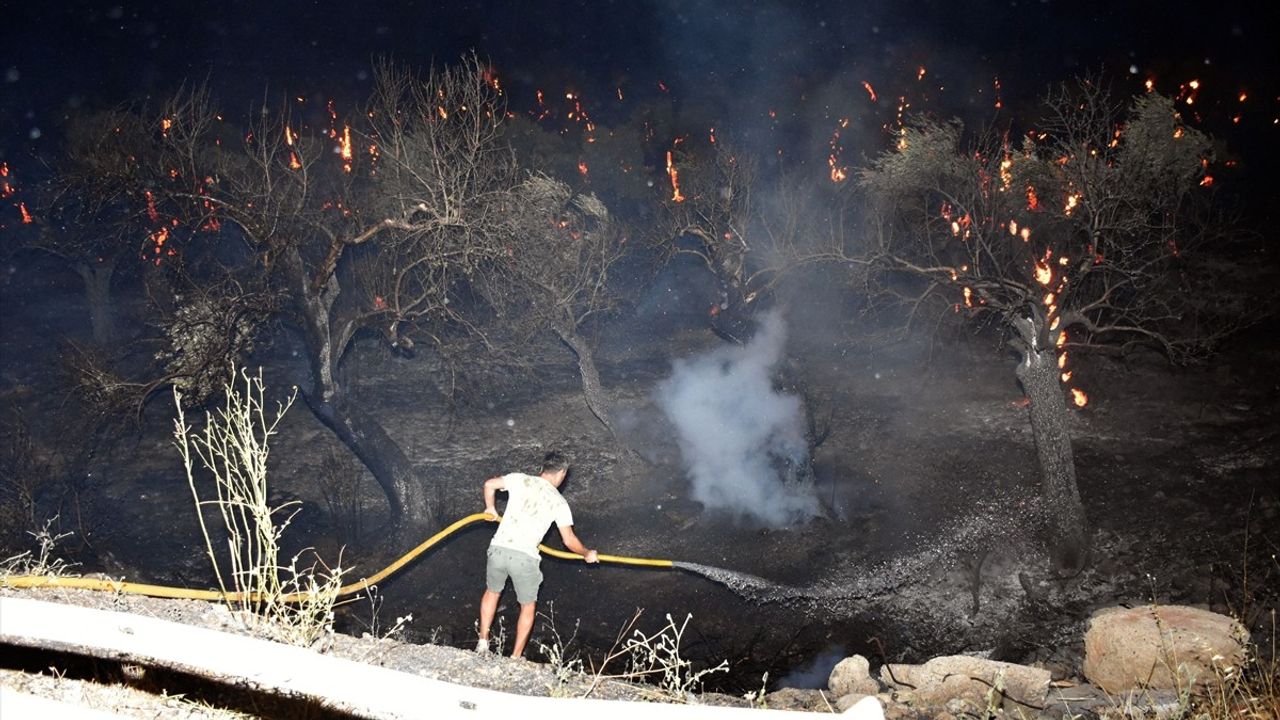 İzmir Kemalpaşa'da Zeytinlik Yangınına Müdahele