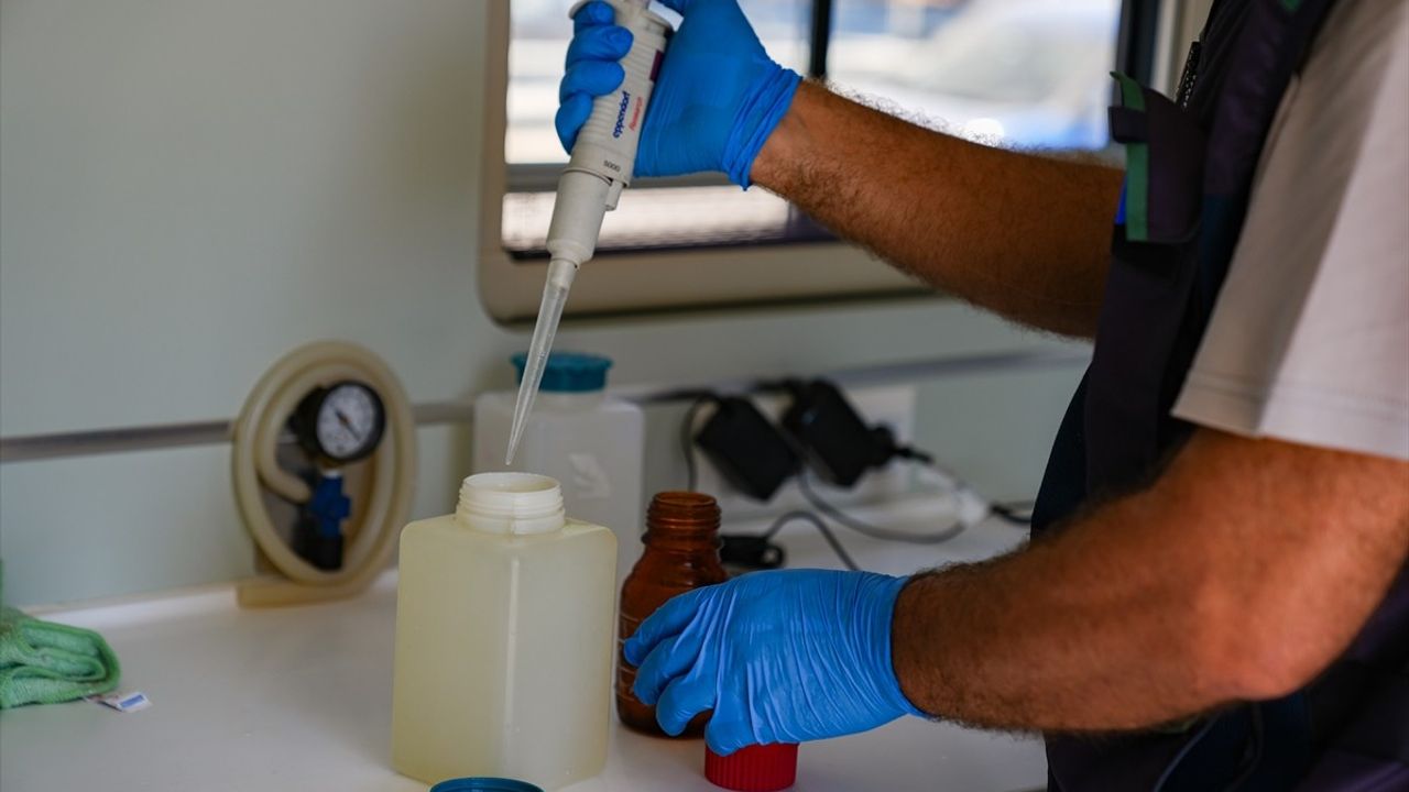 İzmir Körfezi'nde Balık Ölümlerine Yönelik Yoğun Denetimler