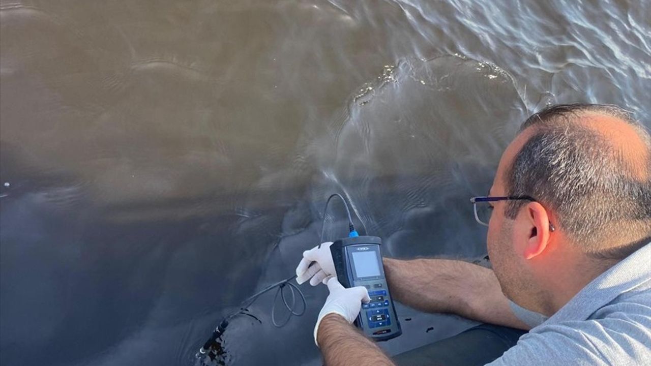 İzmir Körfezi'ndeki Balık Ölümleri Üzerine İnceleme Başlatıldı