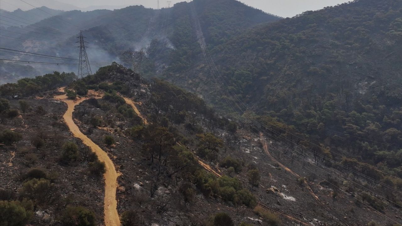 İzmir Orman Yangınında Zarar Gören Alanlar Havadan Görüntülendi