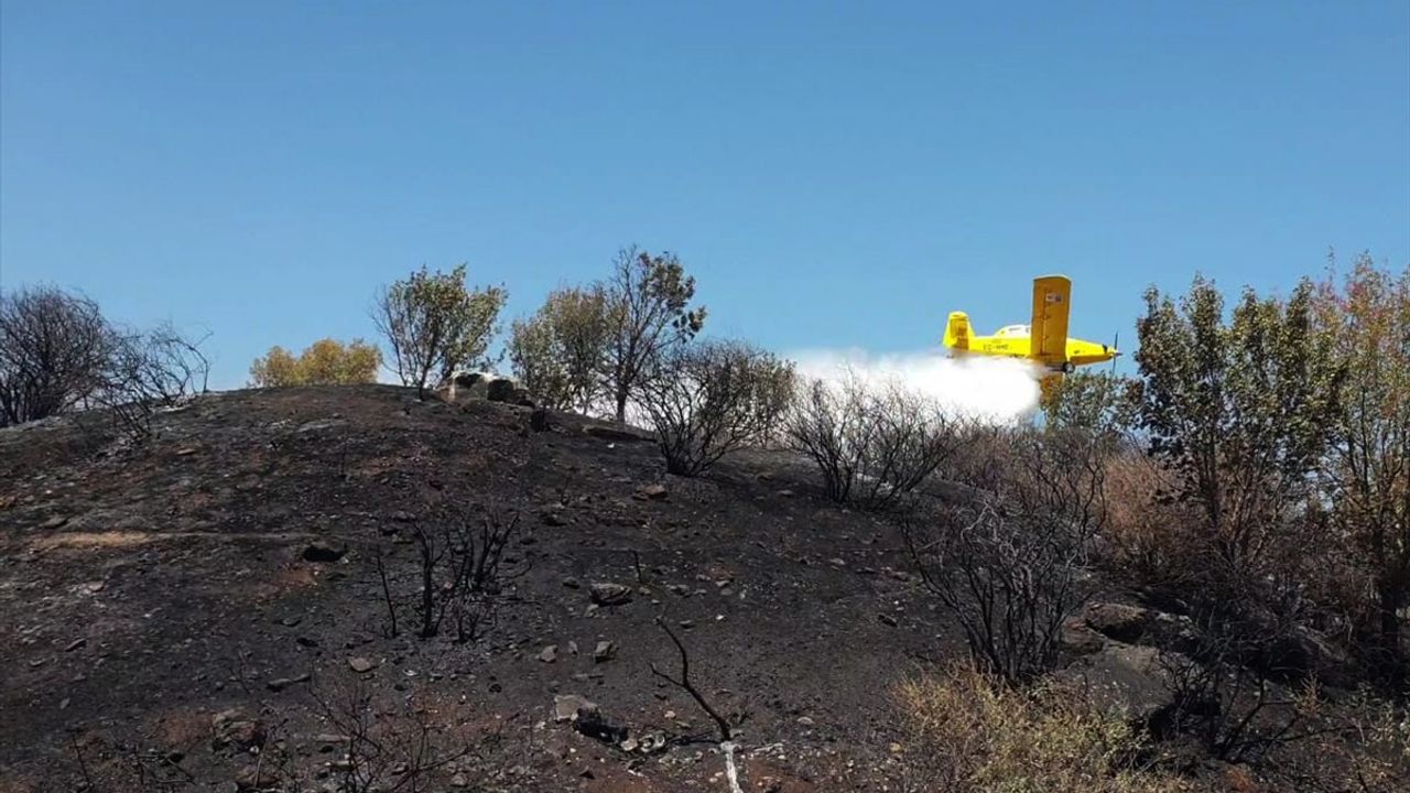 İzmir Selçuk'ta Otluk Alanda Yangın Kontrol Altına Alındı