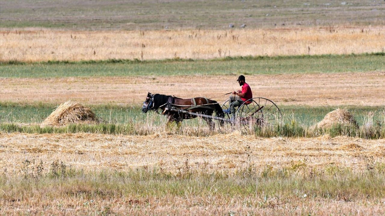 Kars'ta Çiftçilere Kiralanacak İşlenmeyen Tarım Arazi Müjdesi