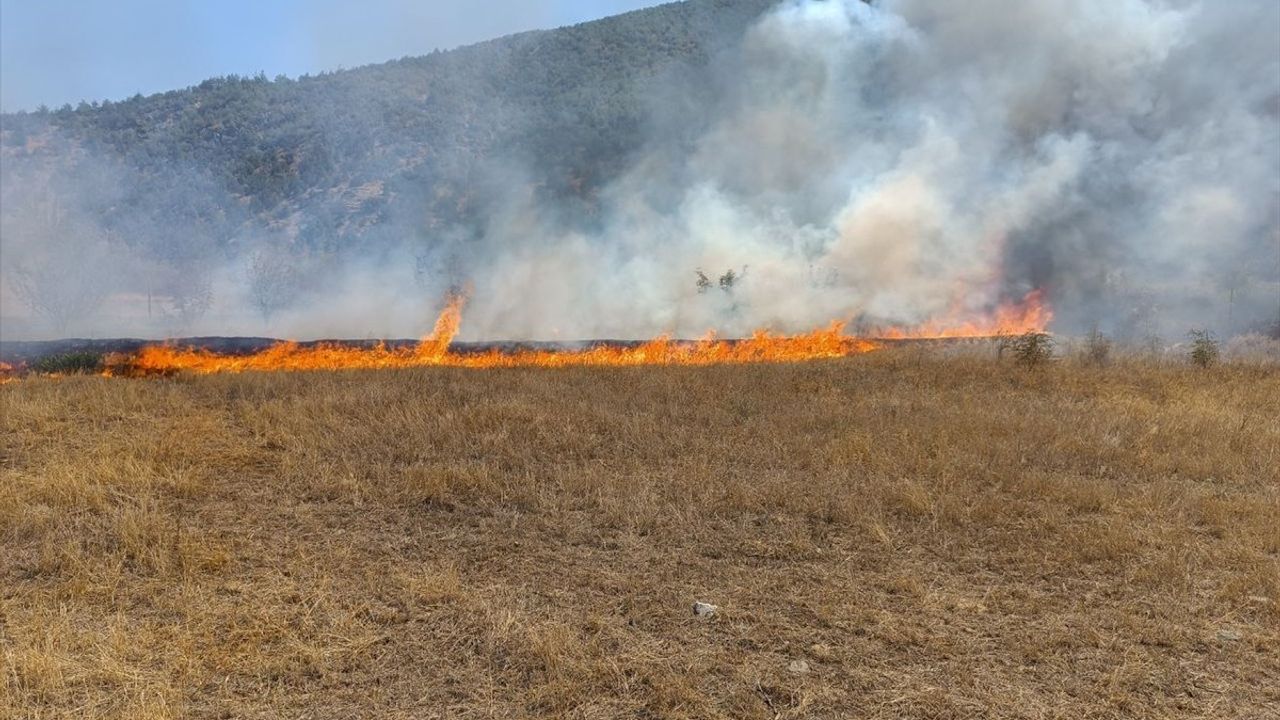 Kastamonu'da Anız Yangını Kontrol Altına Alındı