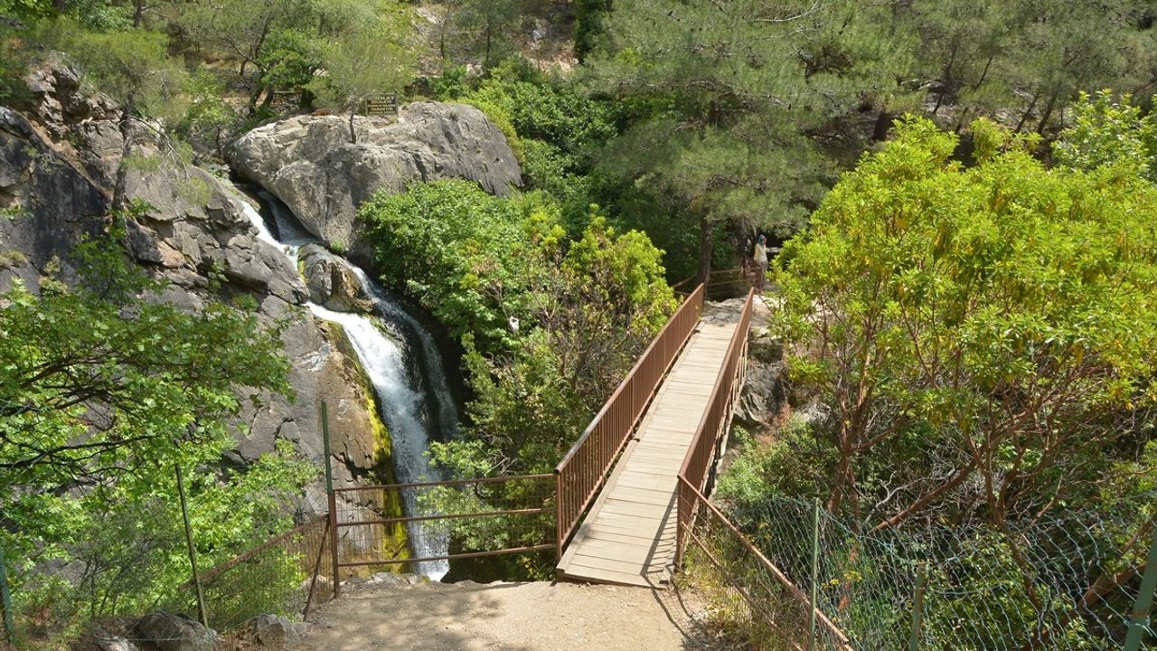 Kazdağları Milli Parkı Yangın Riski Nedeniyle 31 Ekim'e Kadar Kapalı
