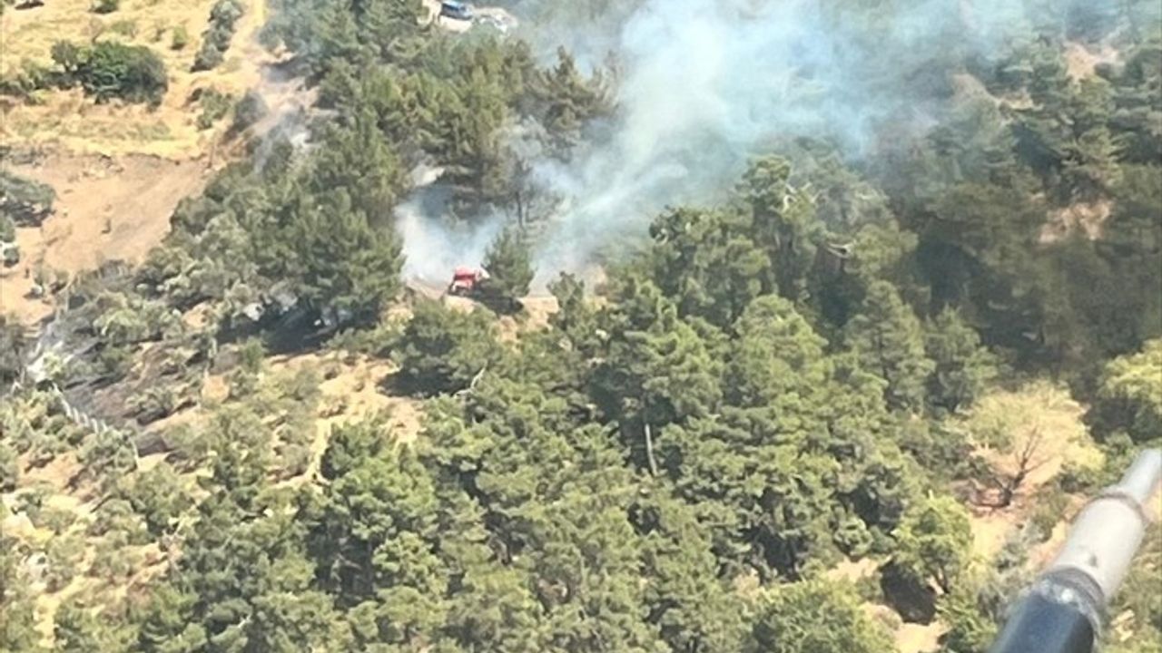 Kemalpaşa'daki Orman Yangını Kontrol Altında