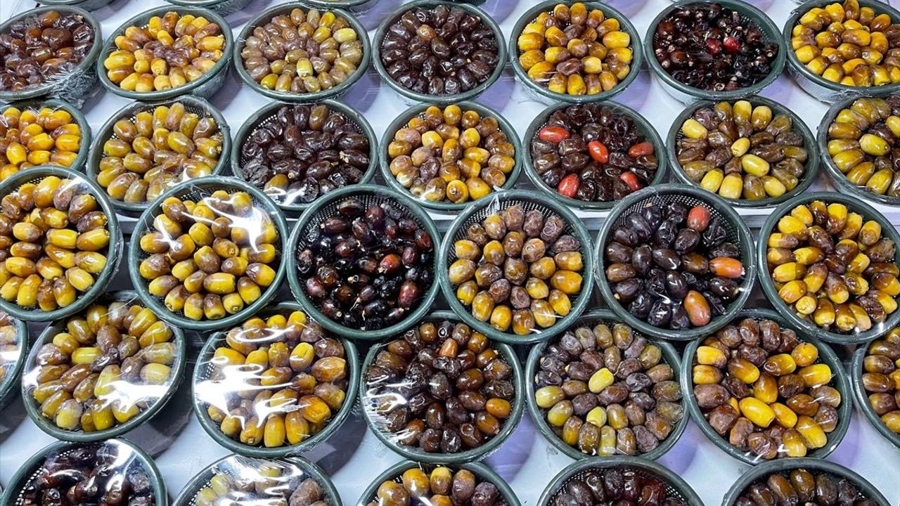 Kerkük'te İlki Düzenlenen Hurma Festivali Yoğun İlgiyle Başladı