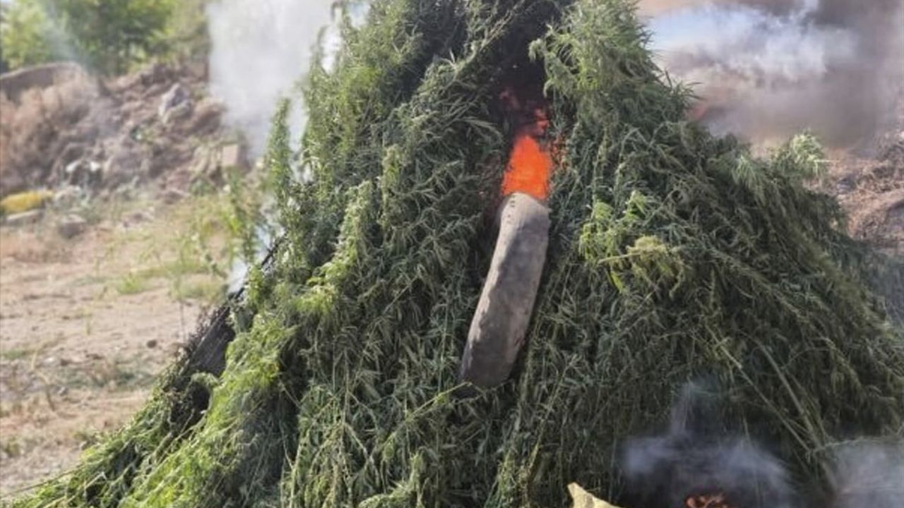 Kırklareli'nde Yasadışı Hint Keneviri Operasyonu