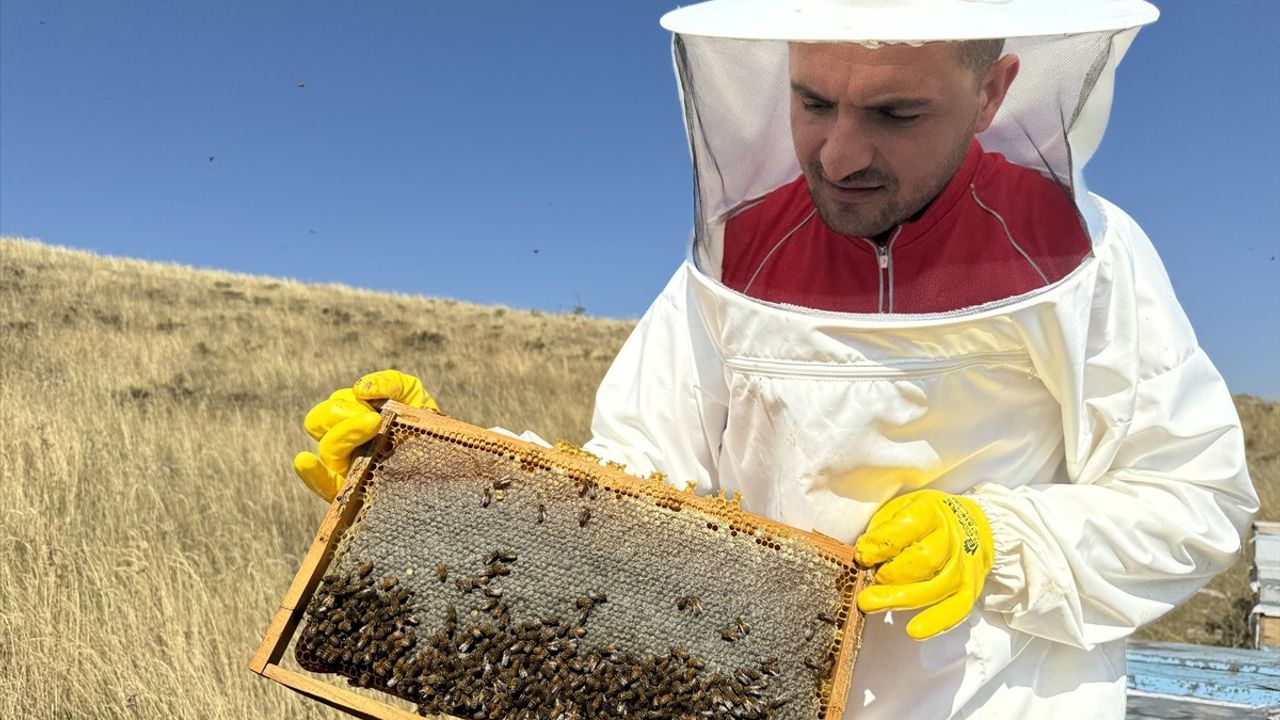 Kızılay Arılarıyla Şifa ve İyilik Dağıtıyor