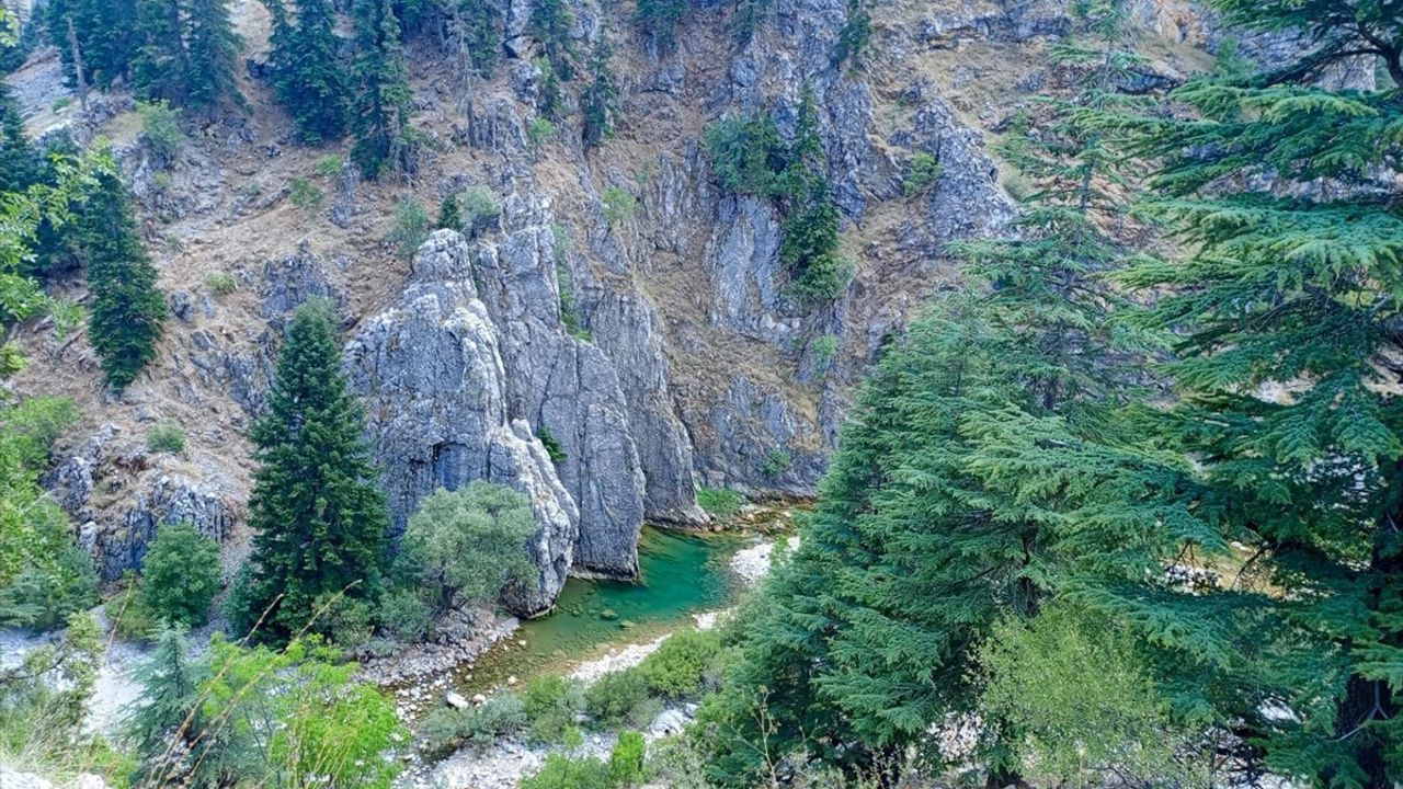 Konya'da Çaya Giren Genç Boğuldu