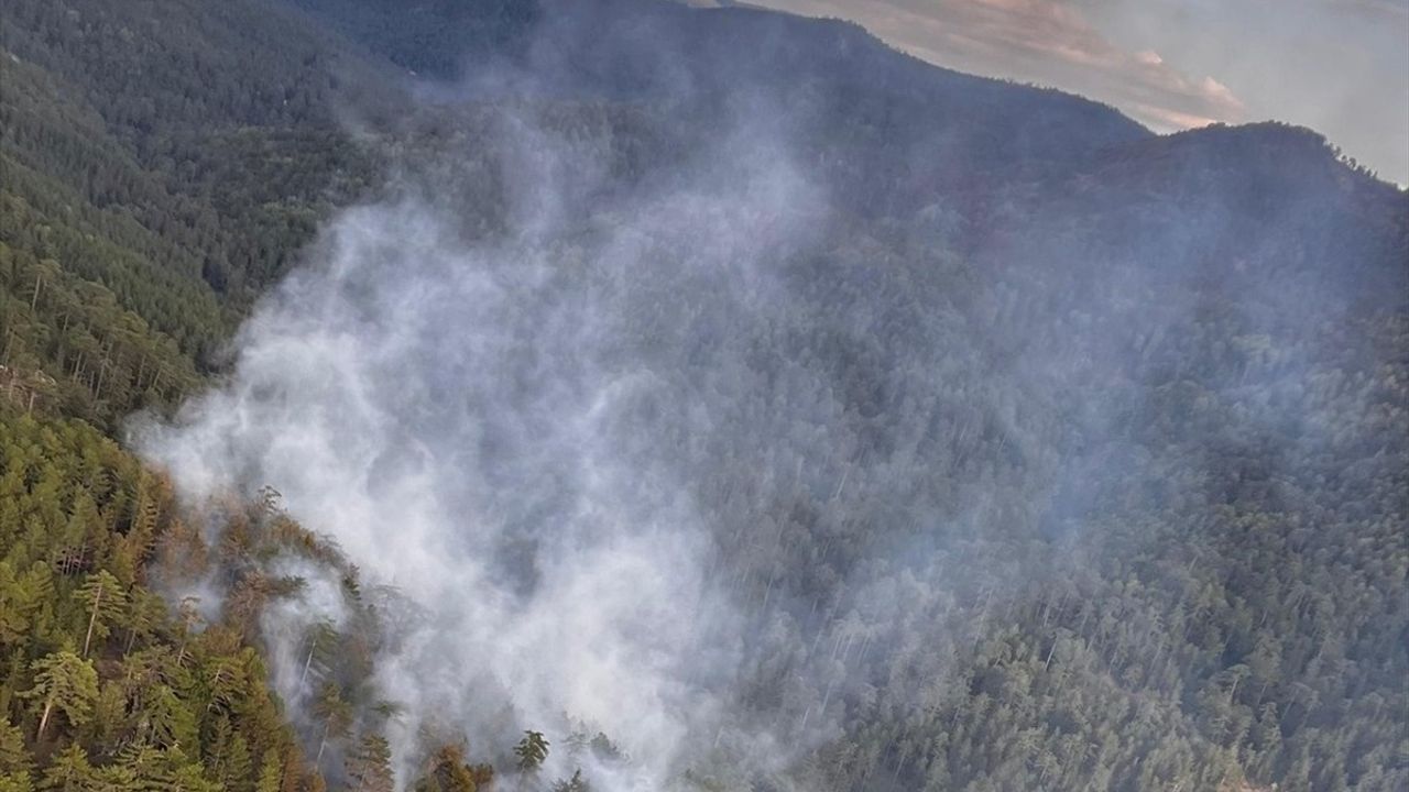 Kütahya'da Yıldırım Düşmesi Sonucu Yangın, 2 Hektar Orman Alanını Etkiledi