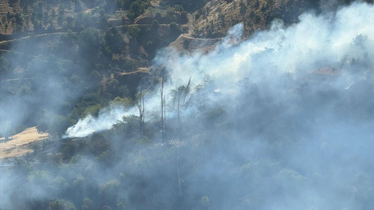 Malatya'da Otluk Alanda Yangın Çıktı