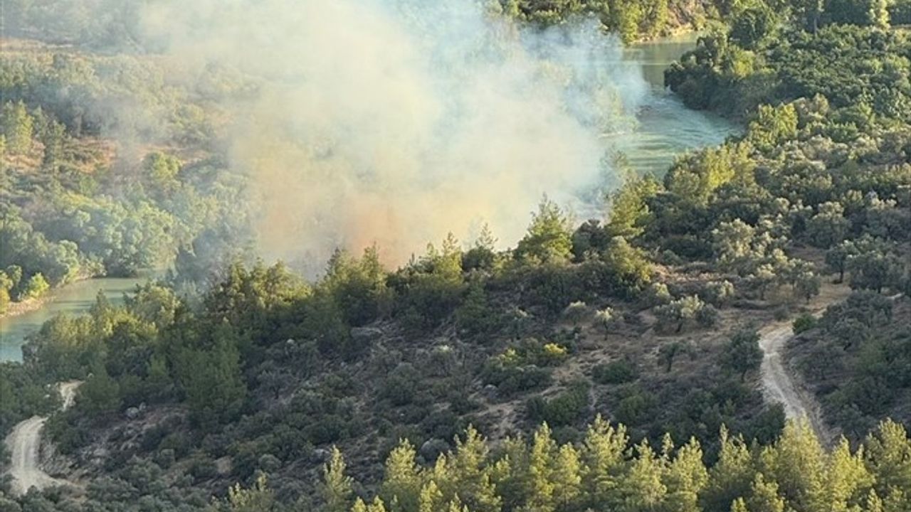 Mersin Silifke'de Orman Yangınına Hızla Müdahale Ediliyor