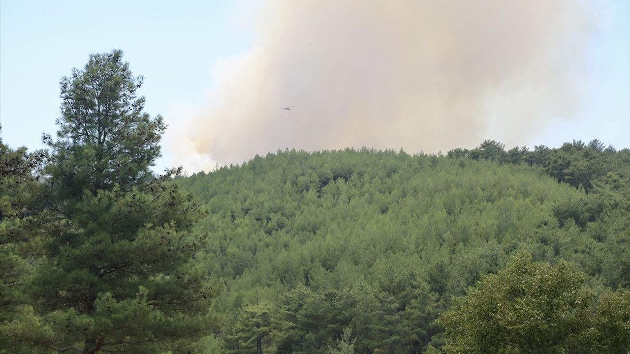 Muğla'daki Çıkan Orman Yangınlarına Müdahale Devam Ediyor