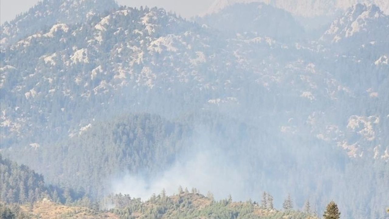 Osmaniye'de Orman Yangını: Ekipler Müdahalede