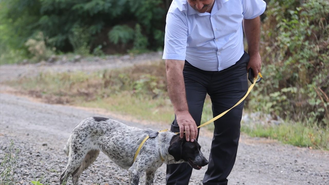 Sahiplendiği Köpekle Topluma Örnek Oldu