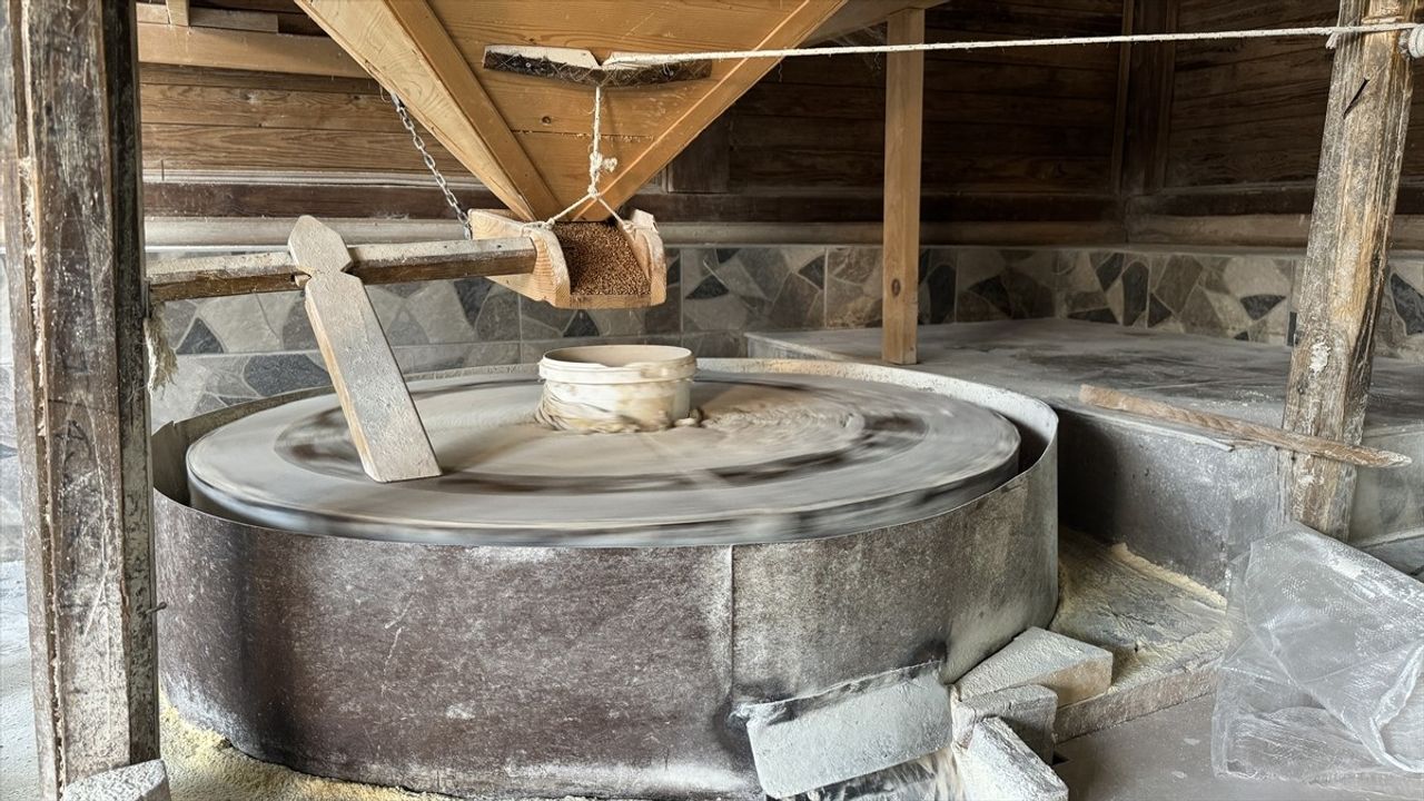 Sakarya'da Asırlık Su Değirmeni: Yılmaz Duyan'ın Baba Mesleği