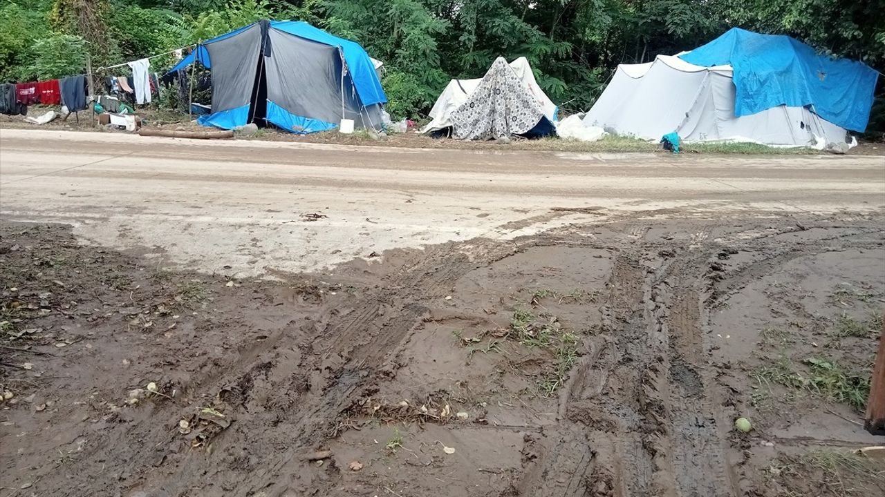 Samsun'da Sağanak Tarım İşçilerini Vurdu: Çadırlar Su Altında Kaldı