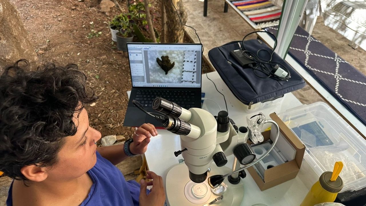 Şanlıurfa'da 12 Bin Yıl Öncesine Ait İzler Ortaya Çıkıyor