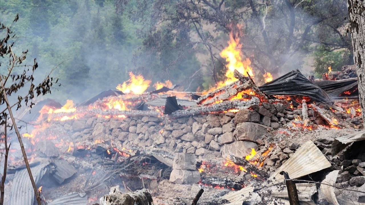 Şavşat'ta Yangın Felaketi: 3 Ev Kullanılamaz Hale Geldi