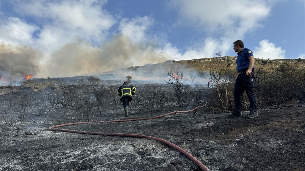 Sinop'ta Yangın Kontrol Altına Alındı