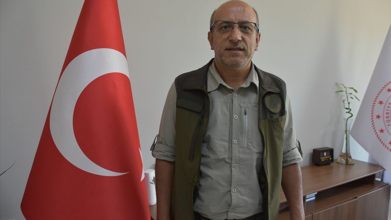 Şırnak'ta Yaban Keçisi Avına Ağır Ceza Uygulandı