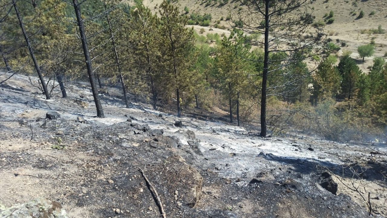 Tokat'ta Orman Yangını Kontrol Altına Alındı
