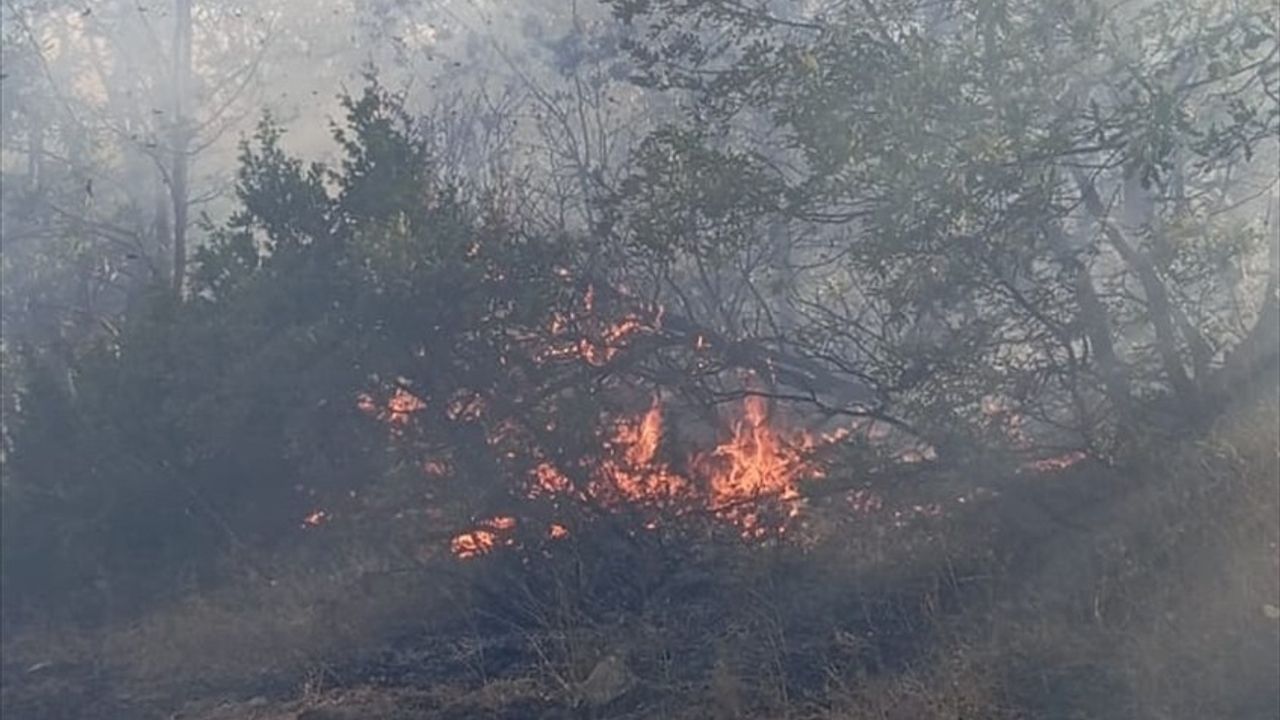 Tunceli'de Orman Yangınına Müdahale Başlatıldı