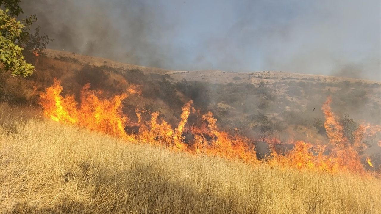 Tunceli'de Otluk Alanda Yangın Kontrol Altına Alındı